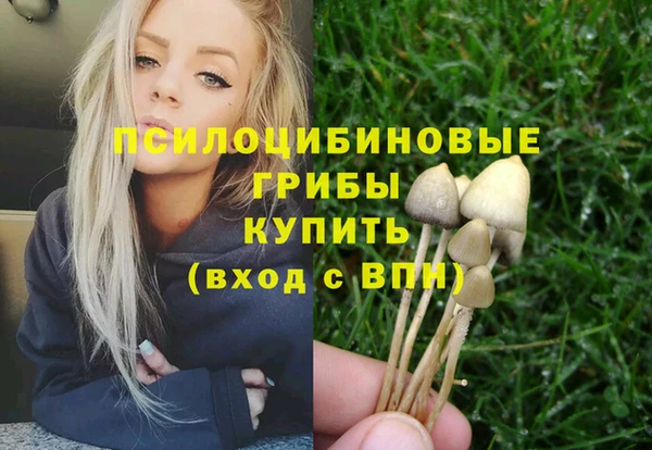 прущие крисы Богородицк